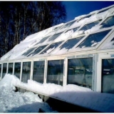 Bolesti krastavaca: mjere kontrole i prevencije